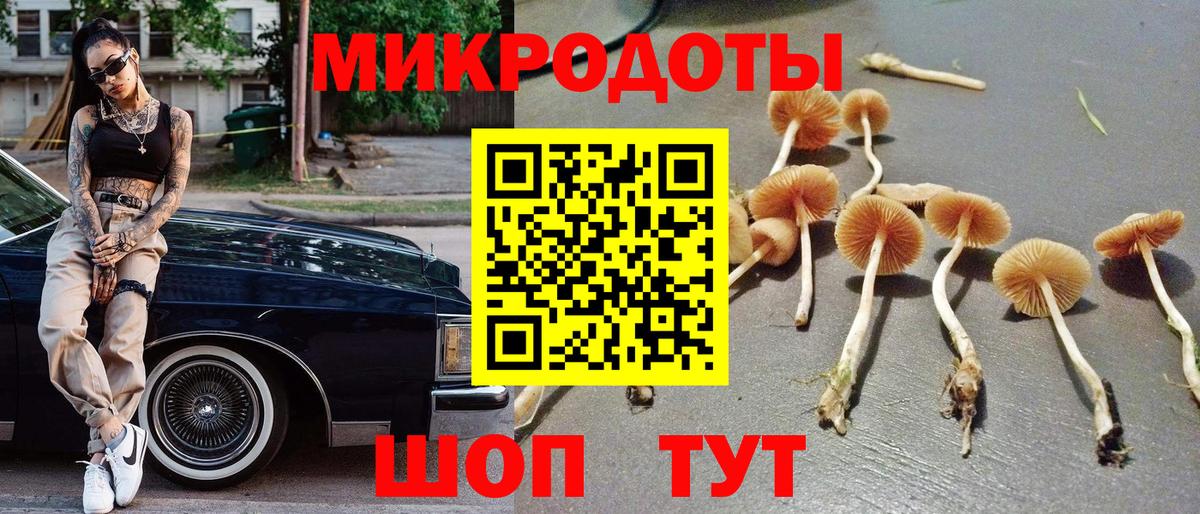 Галлюциногенные грибы ЛСД Родники