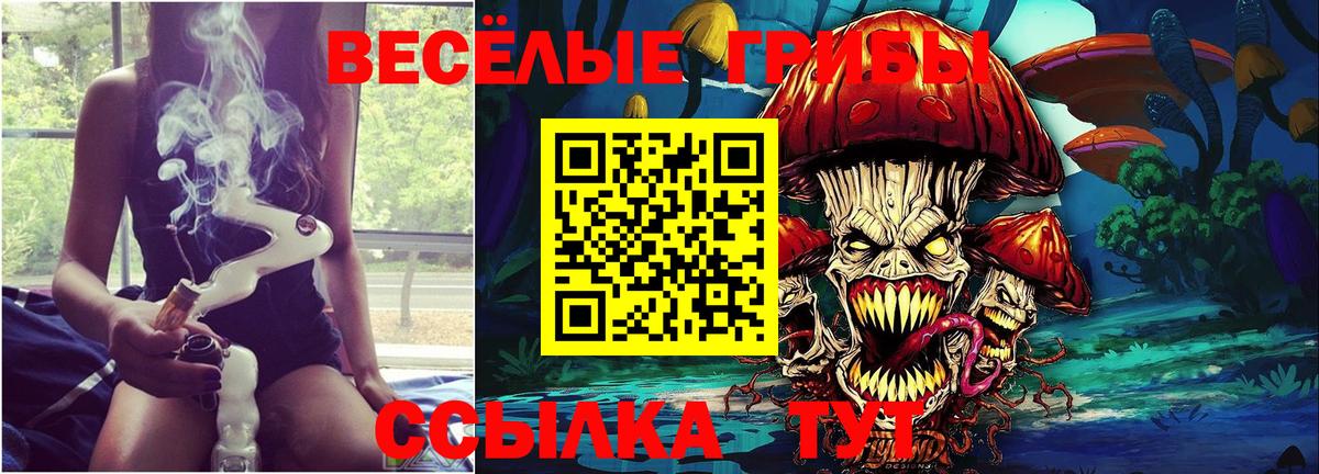 Родники  Псилоцибиновые грибы Magic Shrooms  Вход с VPN 